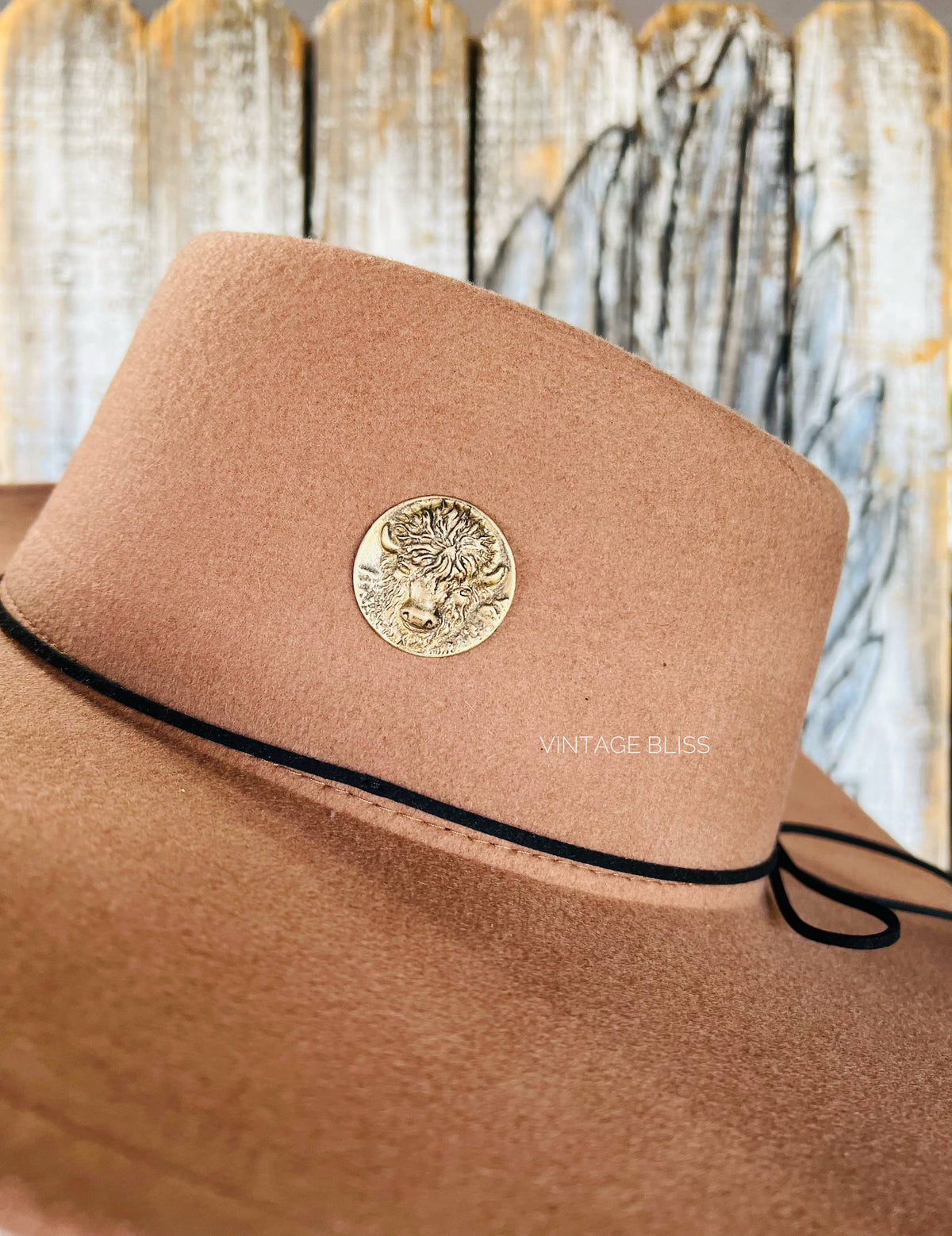Brass Patina Buffalo