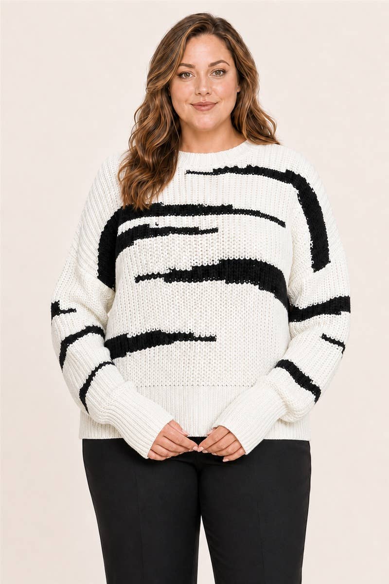 Zebra Stripe Knit Sweater