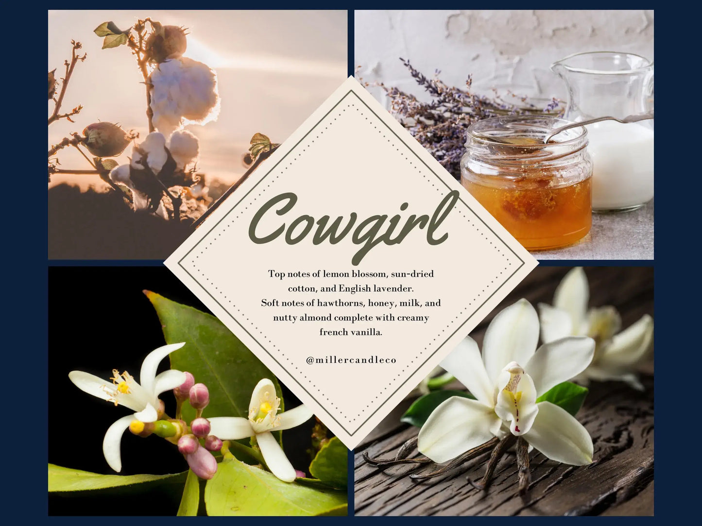 Women’s Goat Milk & Honey Lotion — Barn & Hive: Country Girl