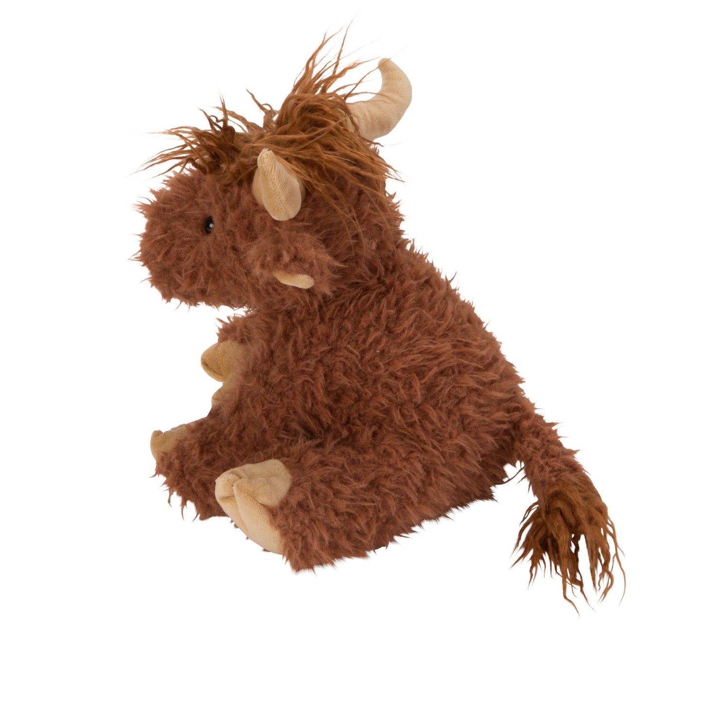 Hamish the Highland Cow
