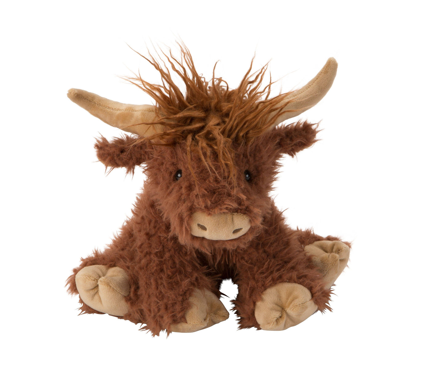 Hamish the Highland Cow