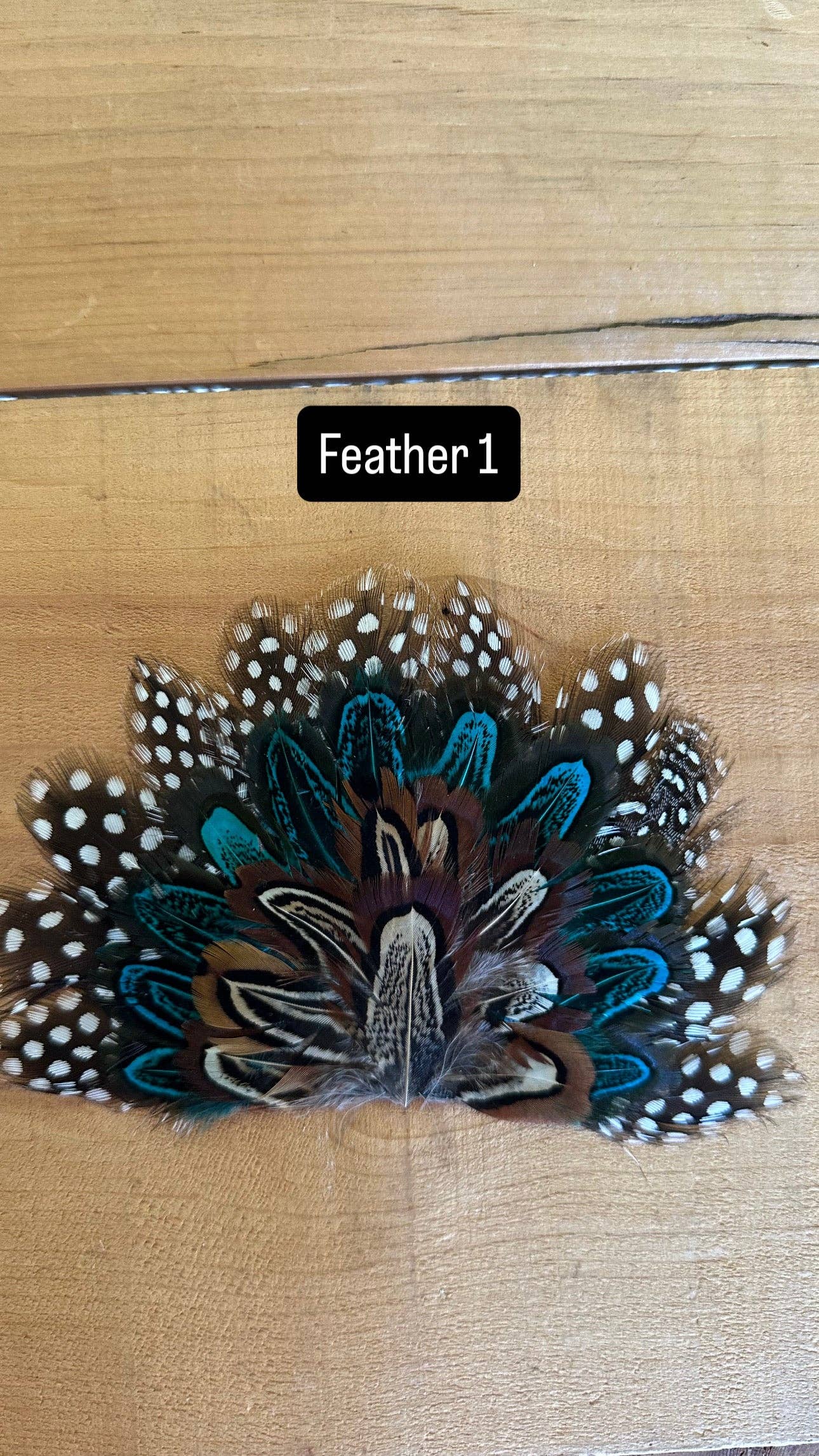 IRON ON FEATHER FANS FOR TRUCKER HATS AND COWBOY HATS: No Faux Turquoise / Feather 7