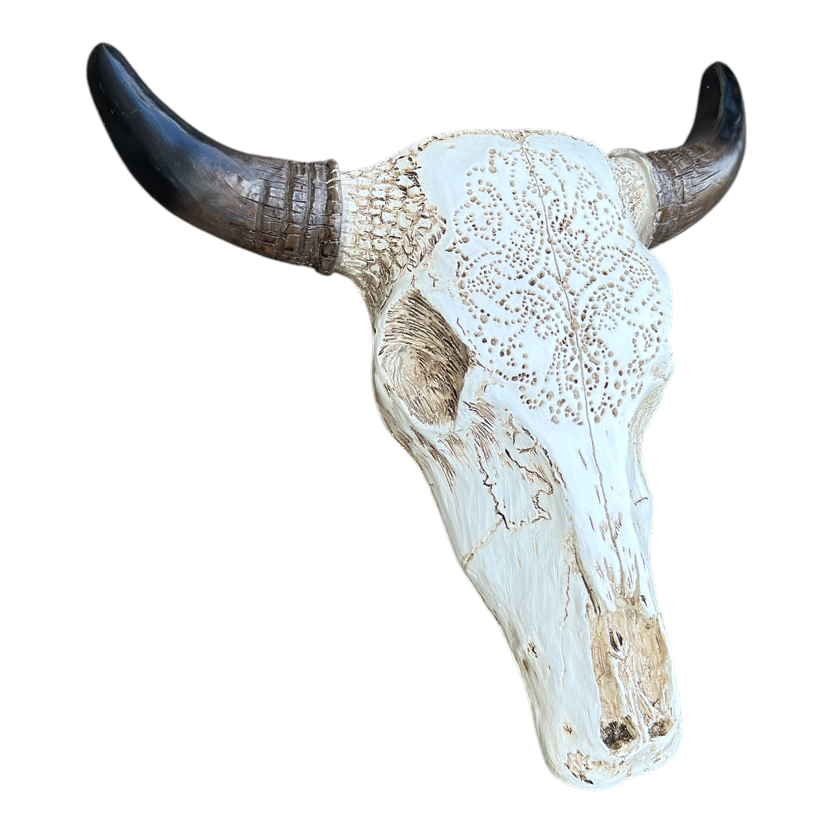 Tooled Bull Skull
