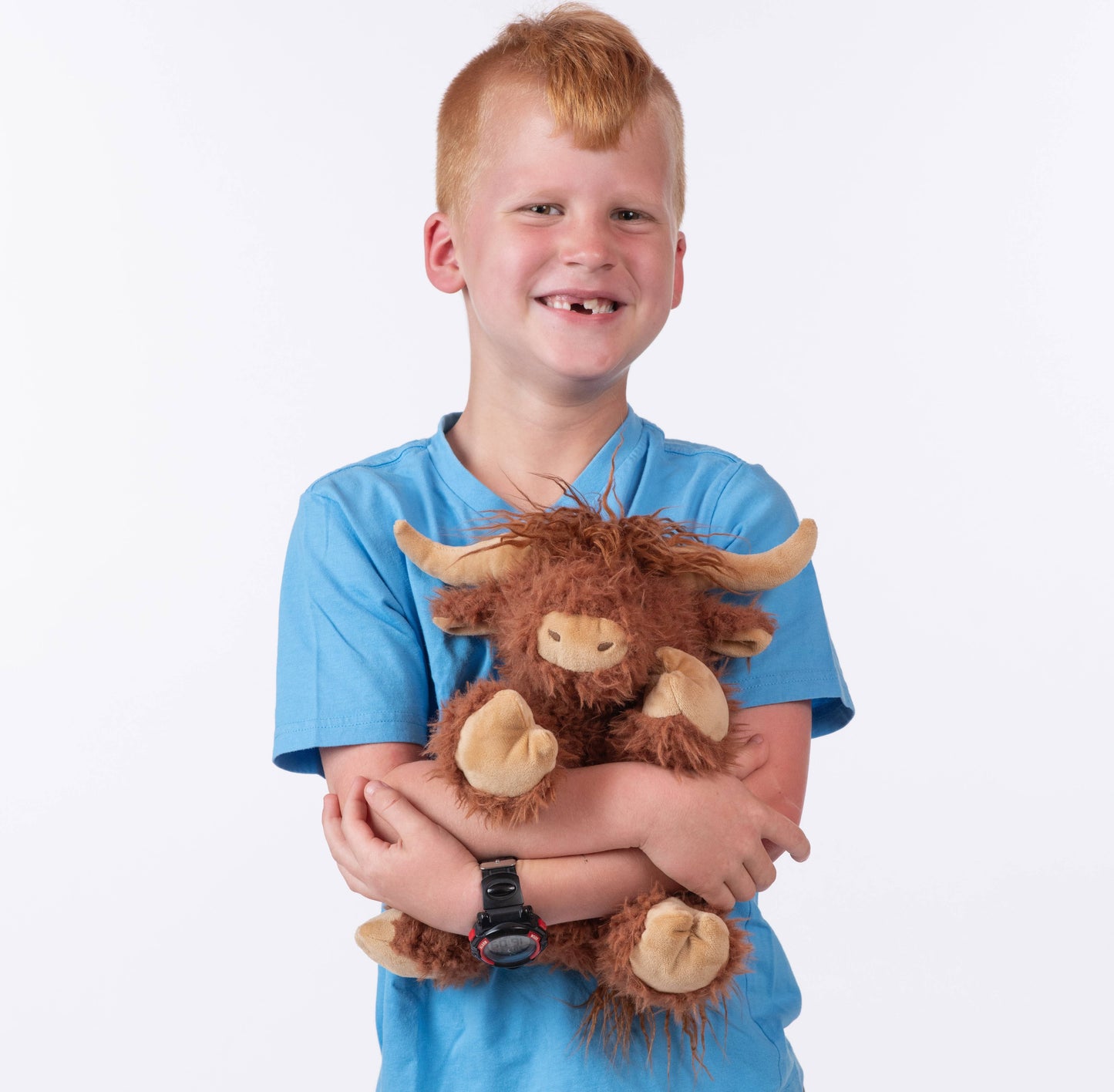 Hamish the Highland Cow