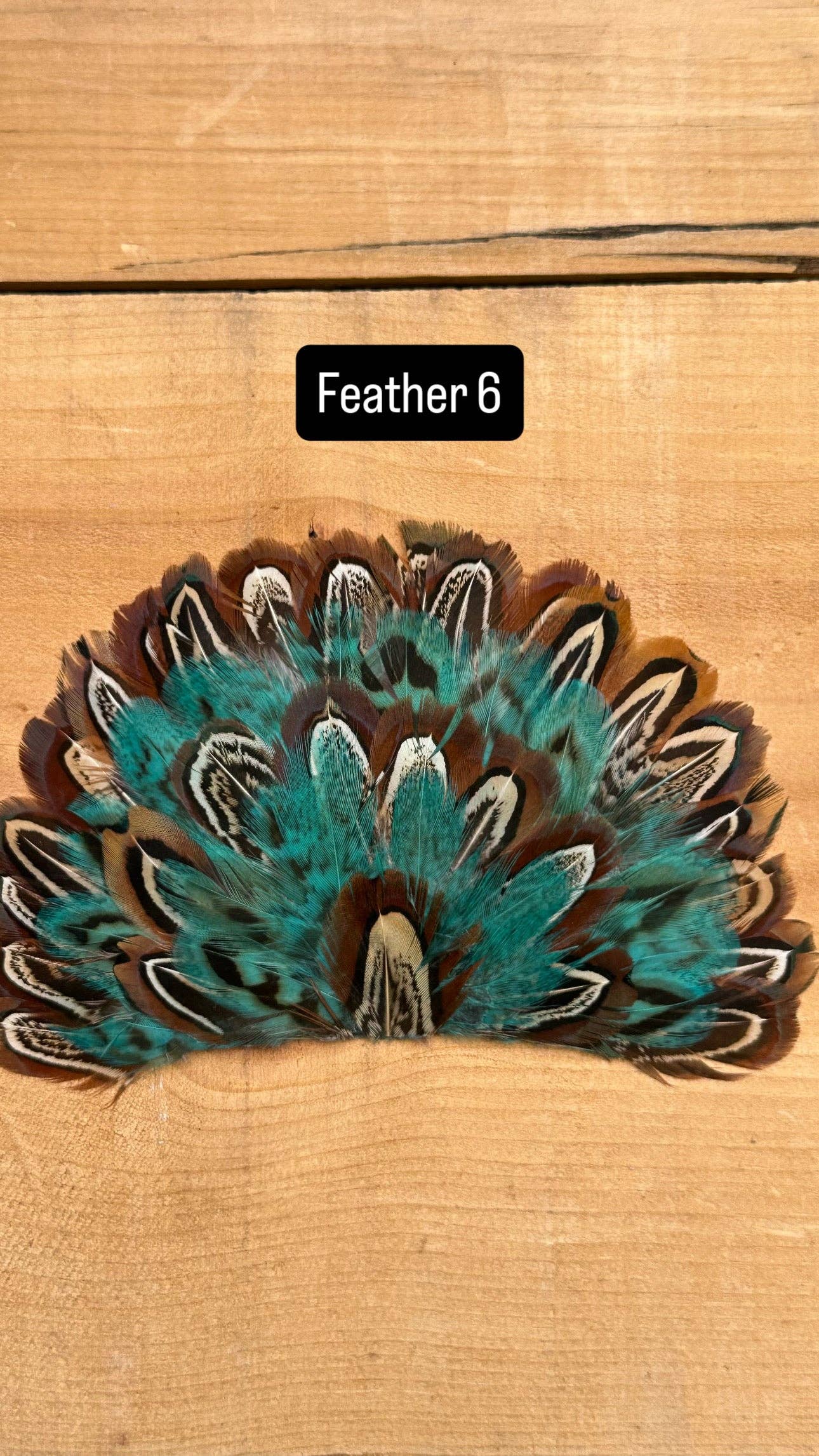 IRON ON FEATHER FANS FOR TRUCKER HATS AND COWBOY HATS: No Faux Turquoise / Feather 1