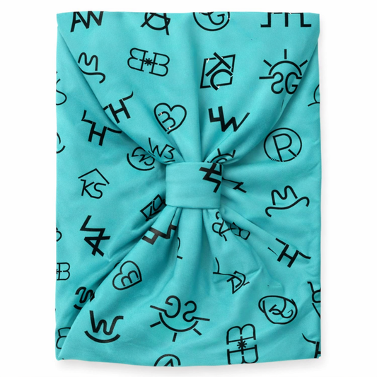The Bling Barn Core Headbands: Signature Turquoise