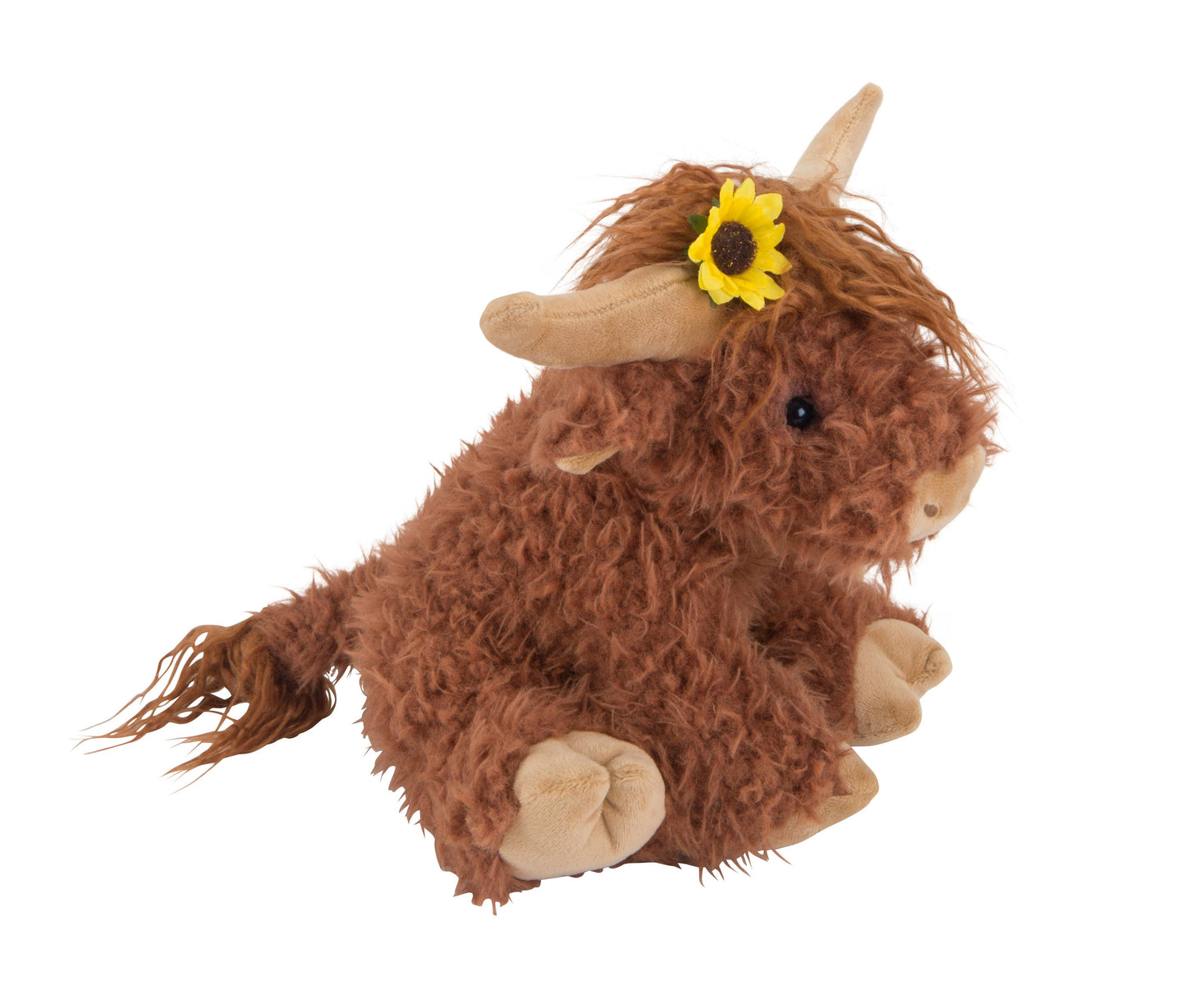 Hazel the Highland Cow