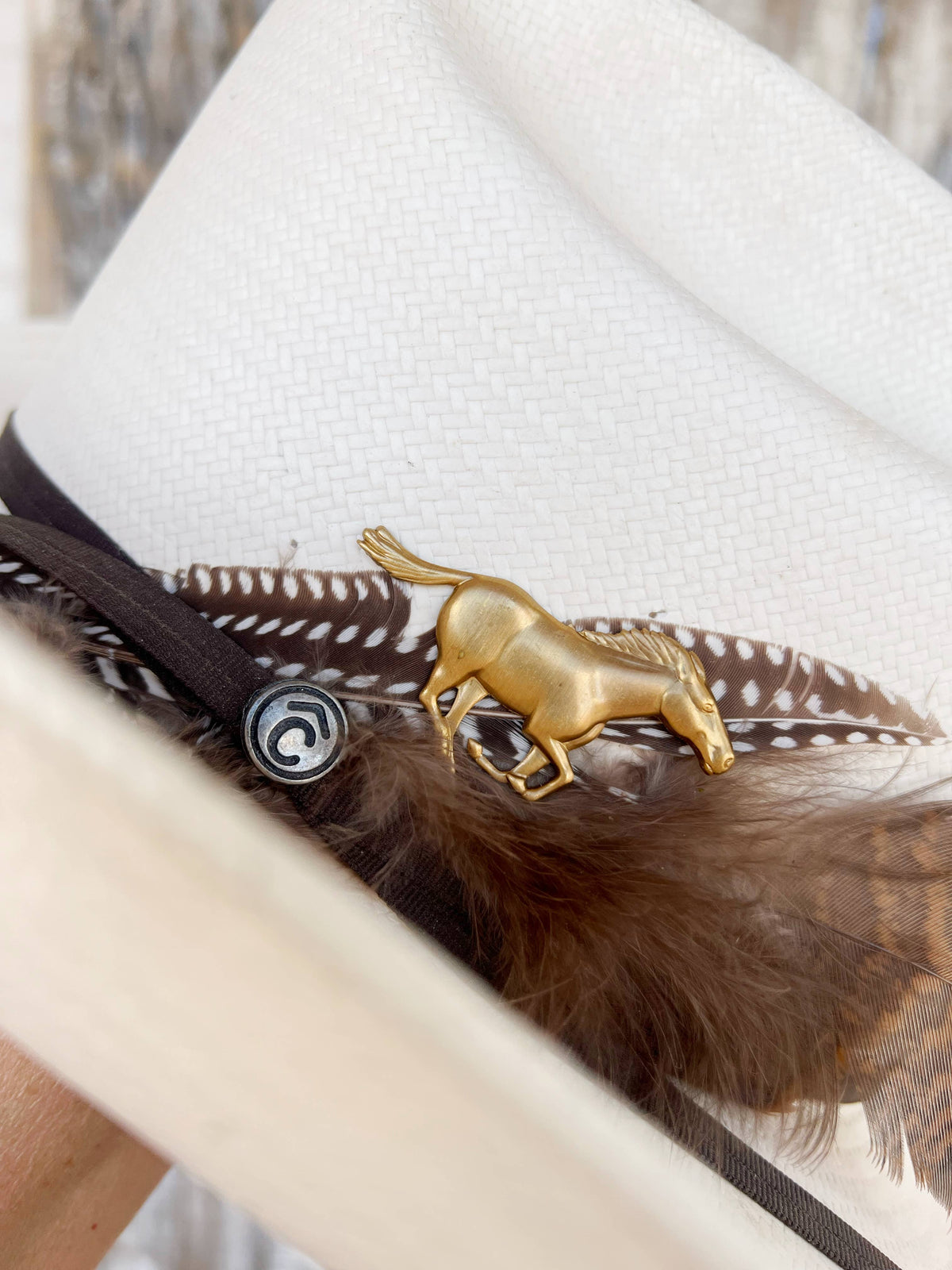 Running Horse