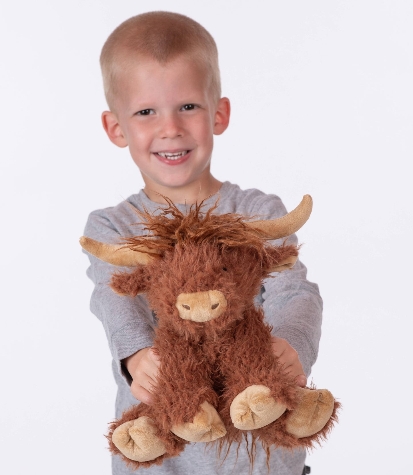 Hamish the Highland Cow