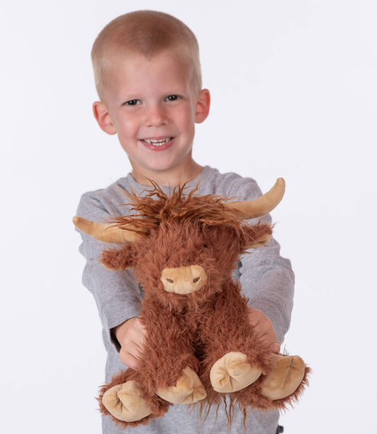 Hamish the Highland Cow
