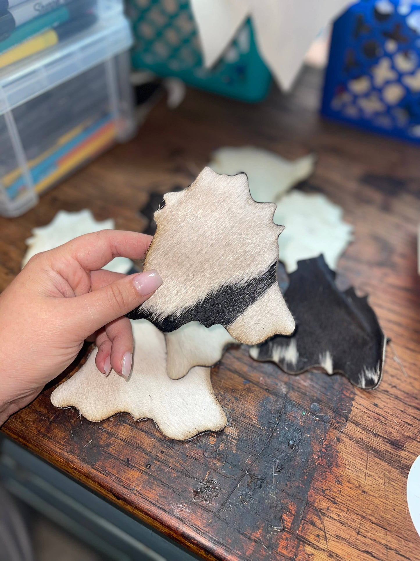 Cowhide Rug Coasters