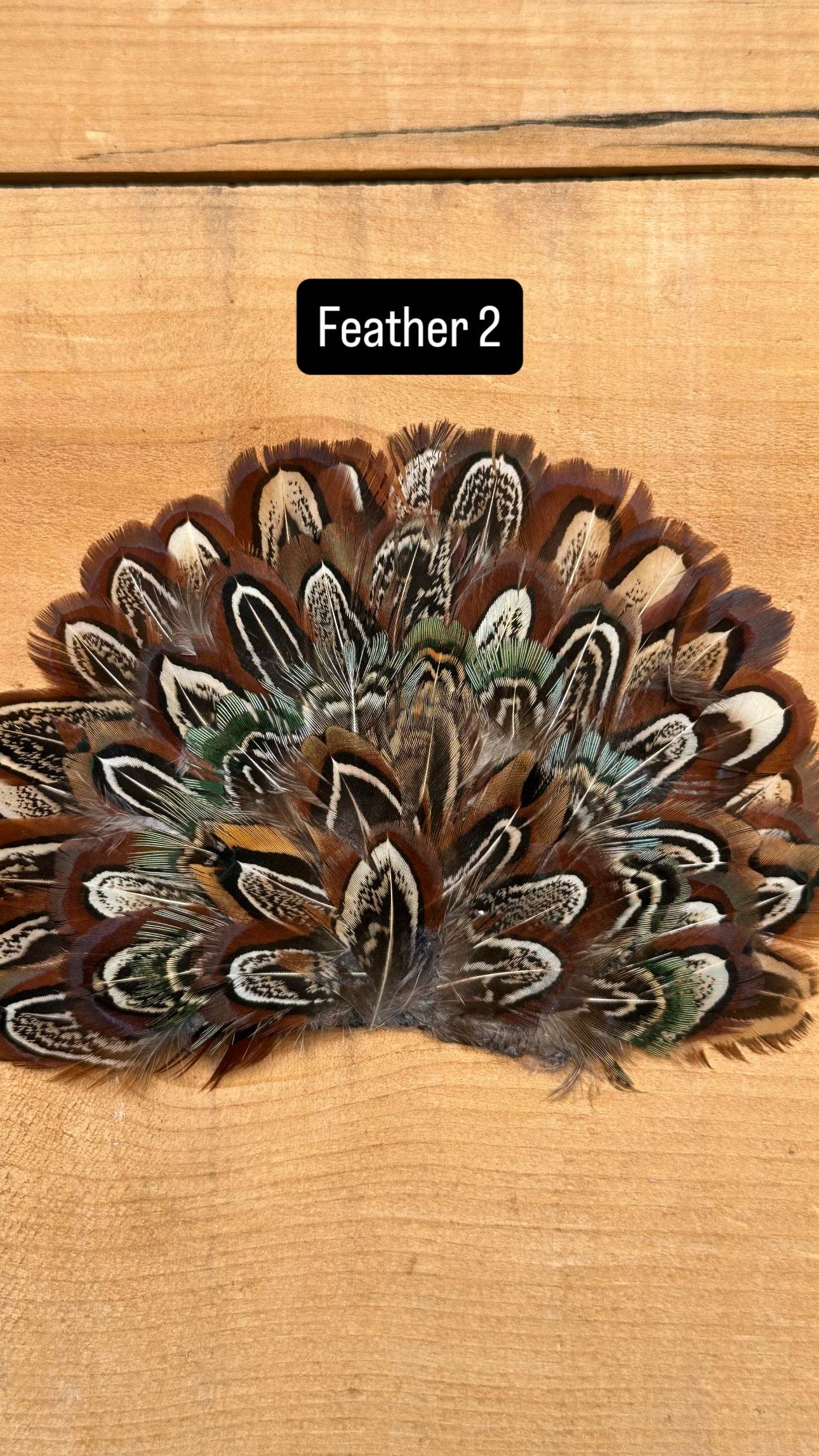 IRON ON FEATHER FANS FOR TRUCKER HATS AND COWBOY HATS: No Faux Turquoise / Feather 1