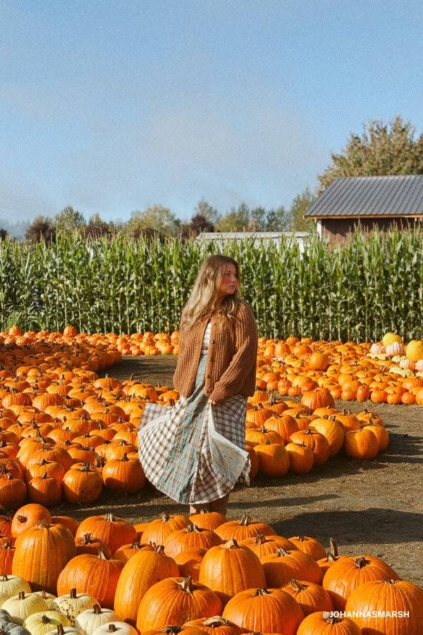 Western Charm Checkered Dress
