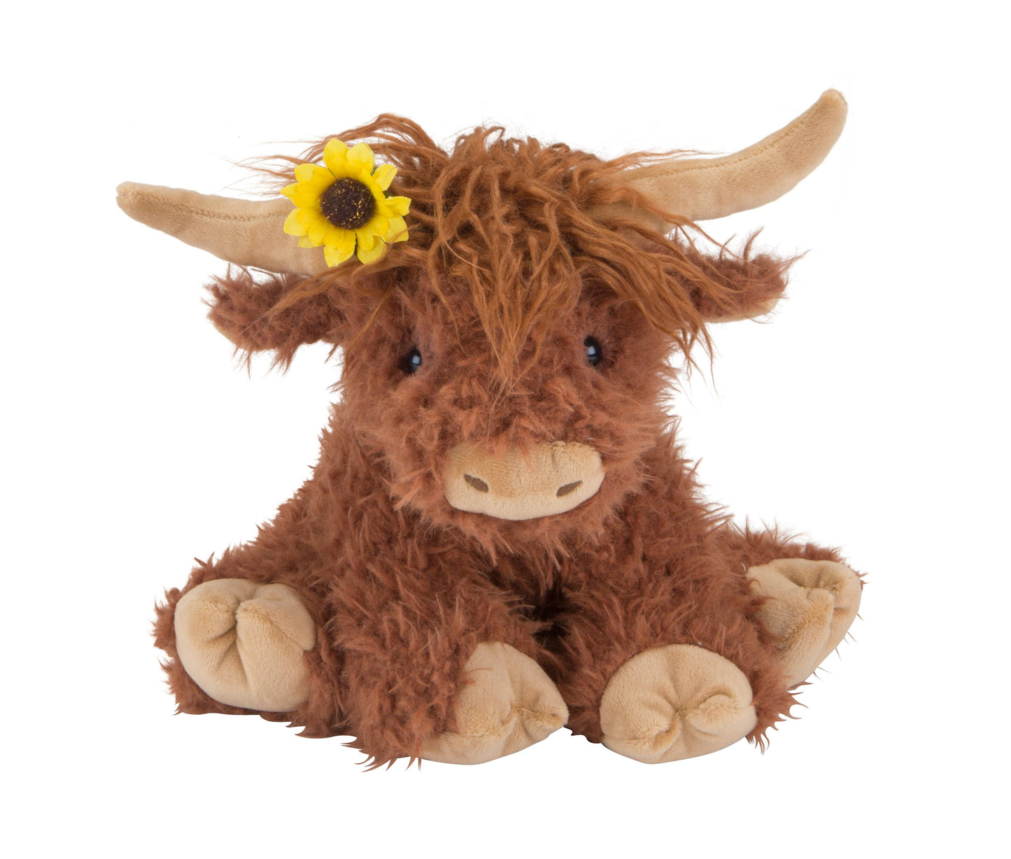 Hazel the Highland Cow