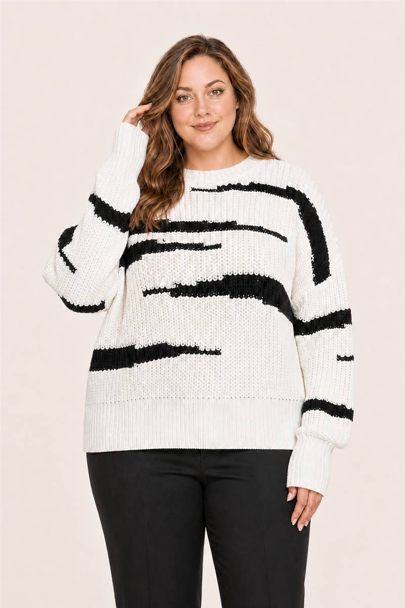 Zebra Stripe Knit Sweater