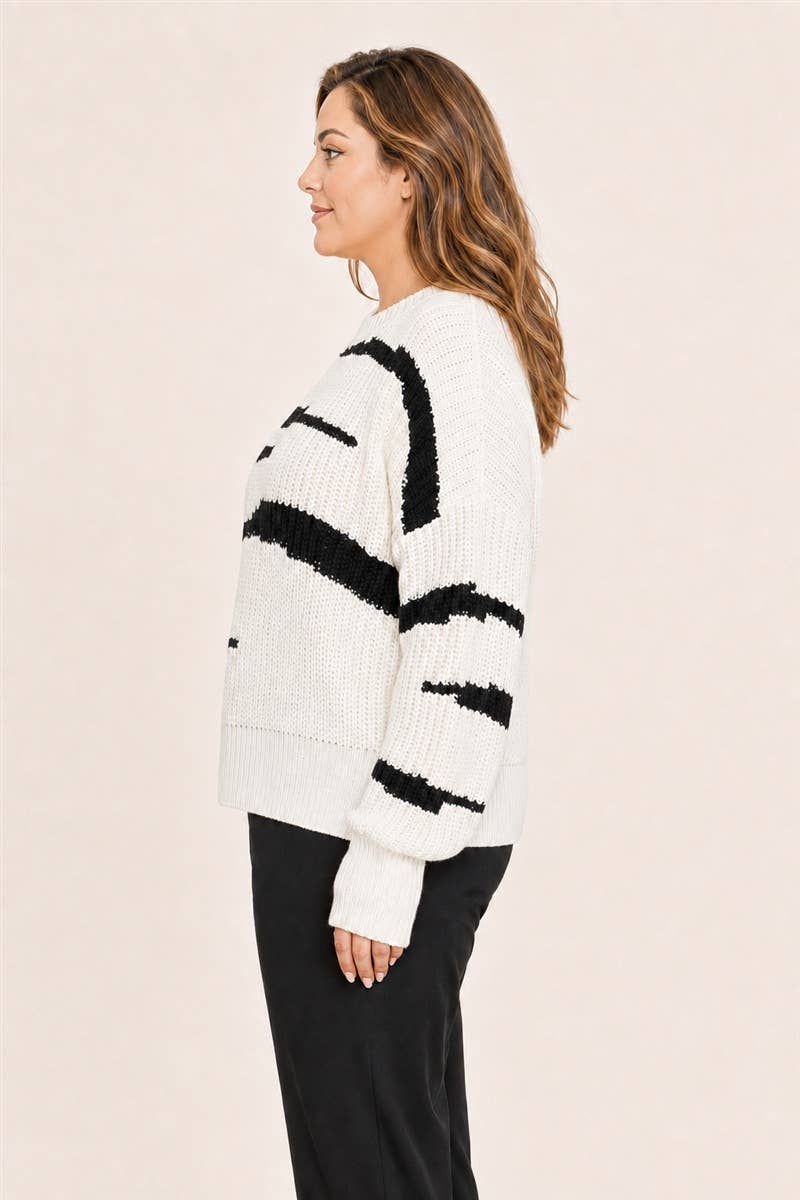 Zebra Stripe Knit Sweater