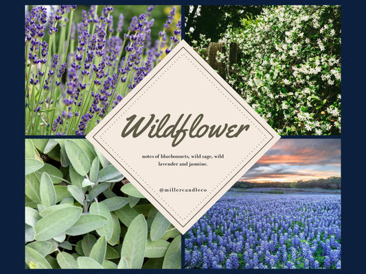 Women’s Goat Milk & Honey Lotion — Barn & Hive: Wildflower