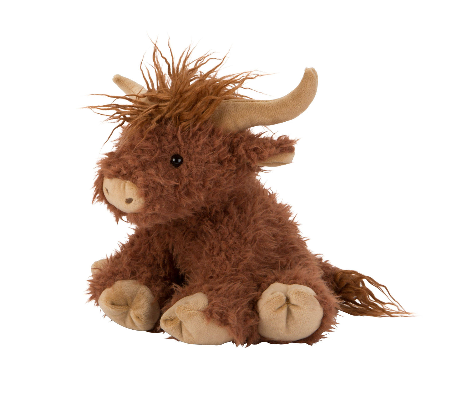 Hamish the Highland Cow