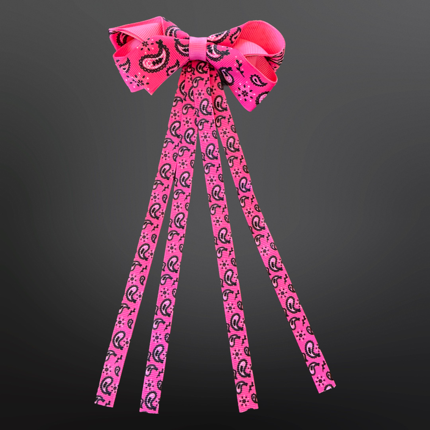 Western Paisley Bandana Print Hair Bow Clip