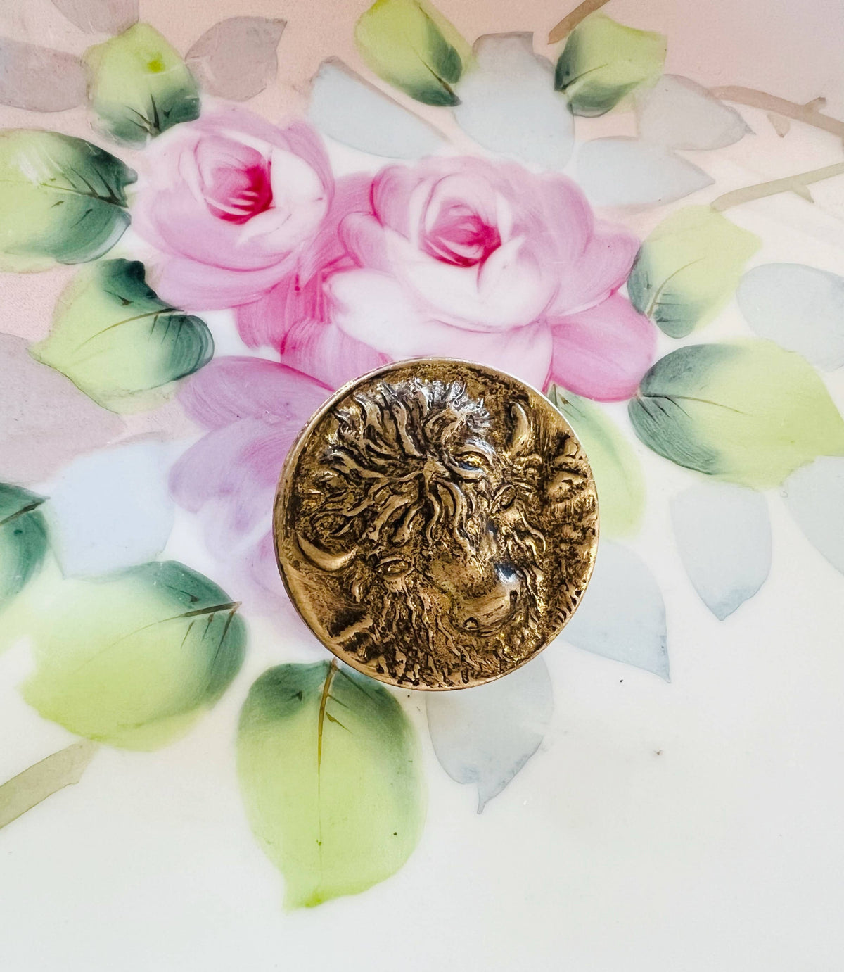 Brass Patina Buffalo