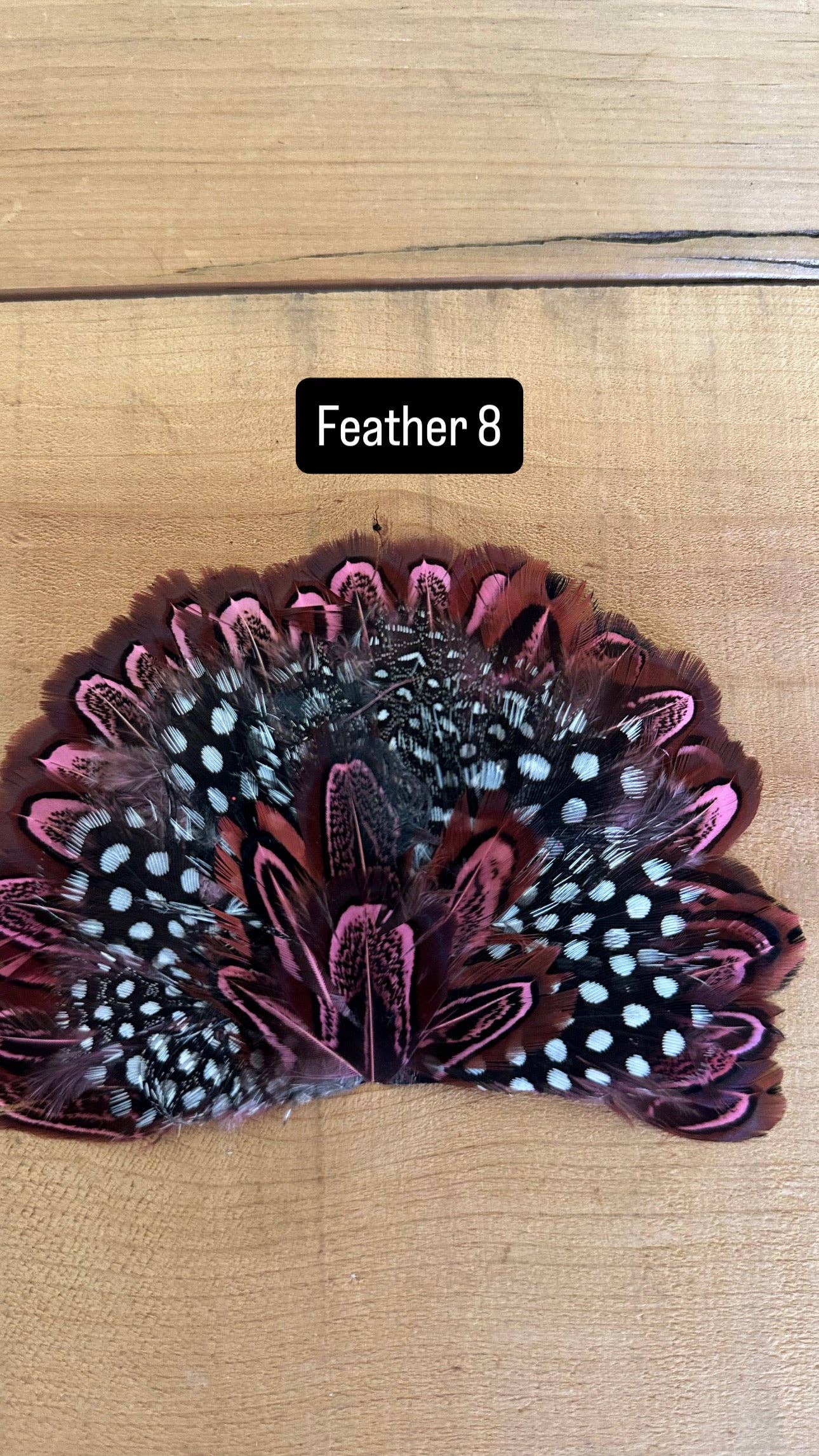 IRON ON FEATHER FANS FOR TRUCKER HATS AND COWBOY HATS: No Faux Turquoise / Feather 1