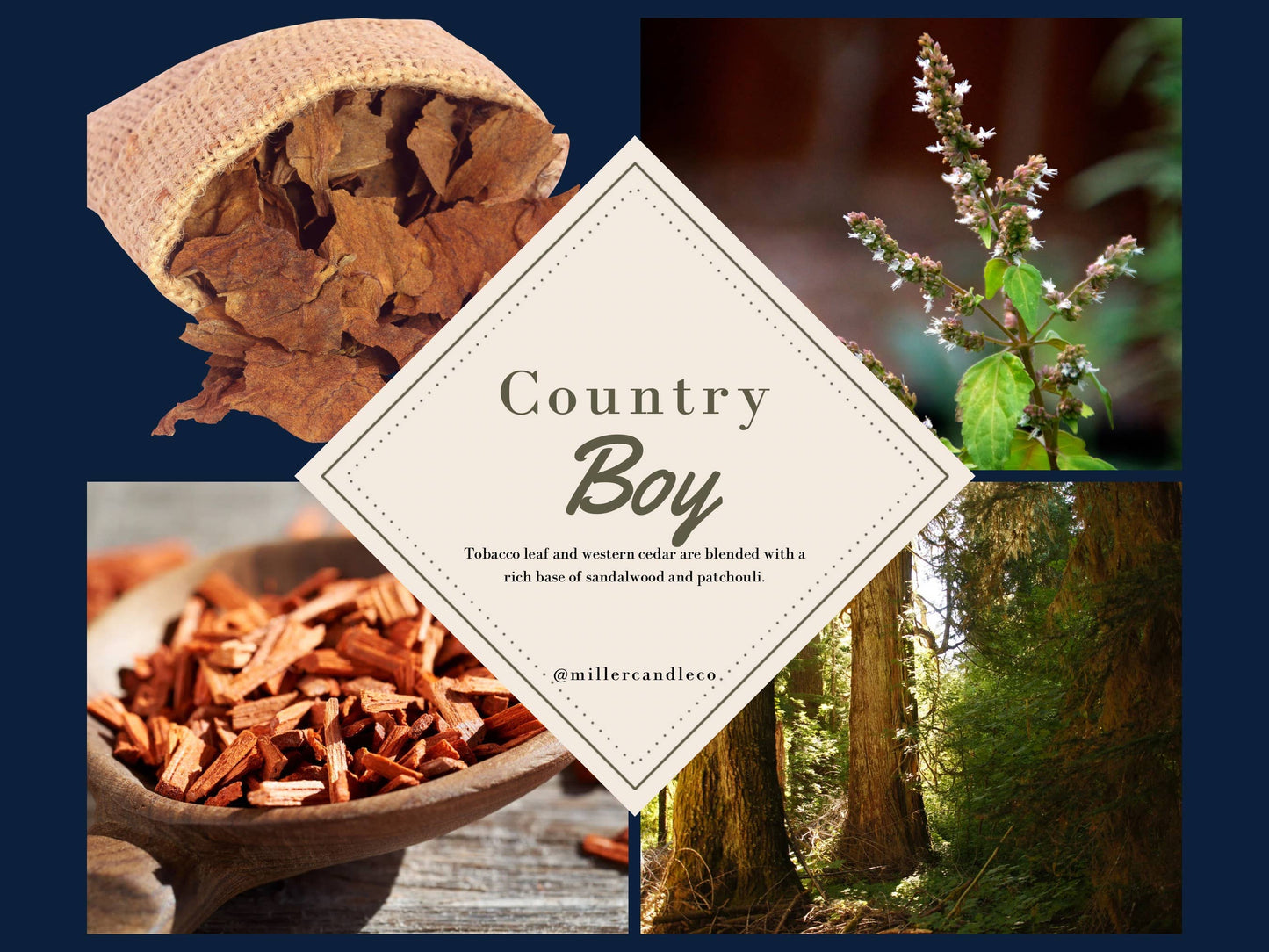 Western Men’s Cologne — Barn & Hive Collection, 50 ml Amber : Country Boy