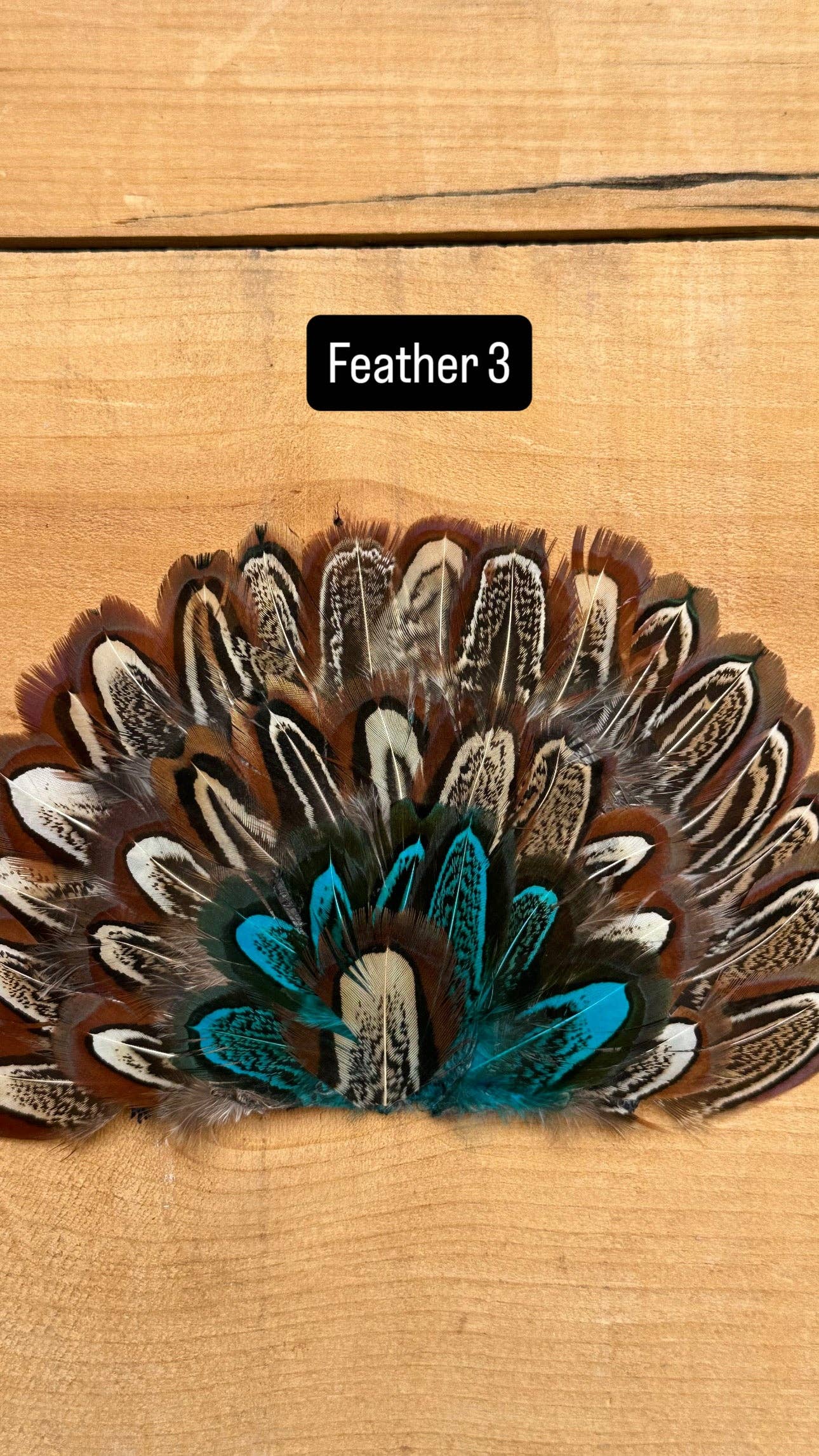 IRON ON FEATHER FANS FOR TRUCKER HATS AND COWBOY HATS: No Faux Turquoise / Feather 4