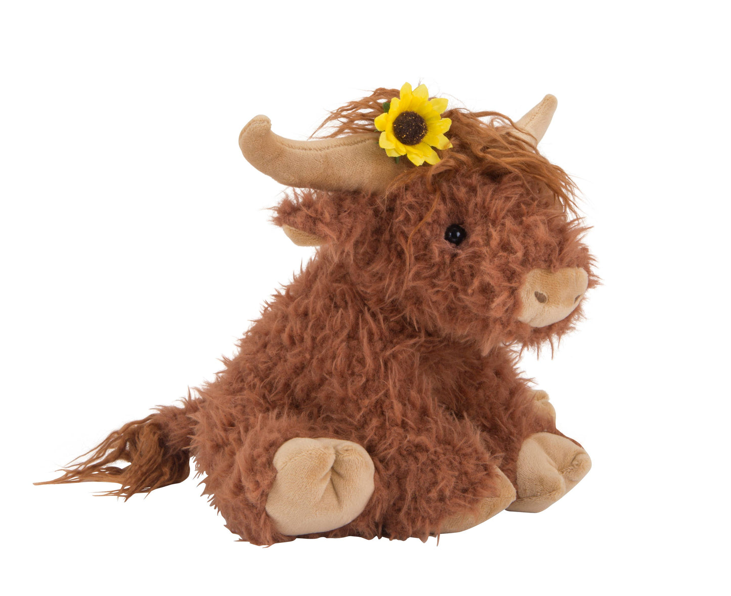 Hazel the Highland Cow
