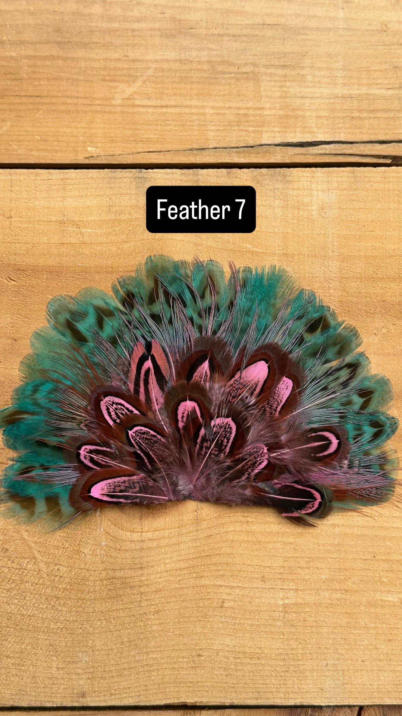 IRON ON FEATHER FANS FOR TRUCKER HATS AND COWBOY HATS: With Faux Turquoise / Feather 9