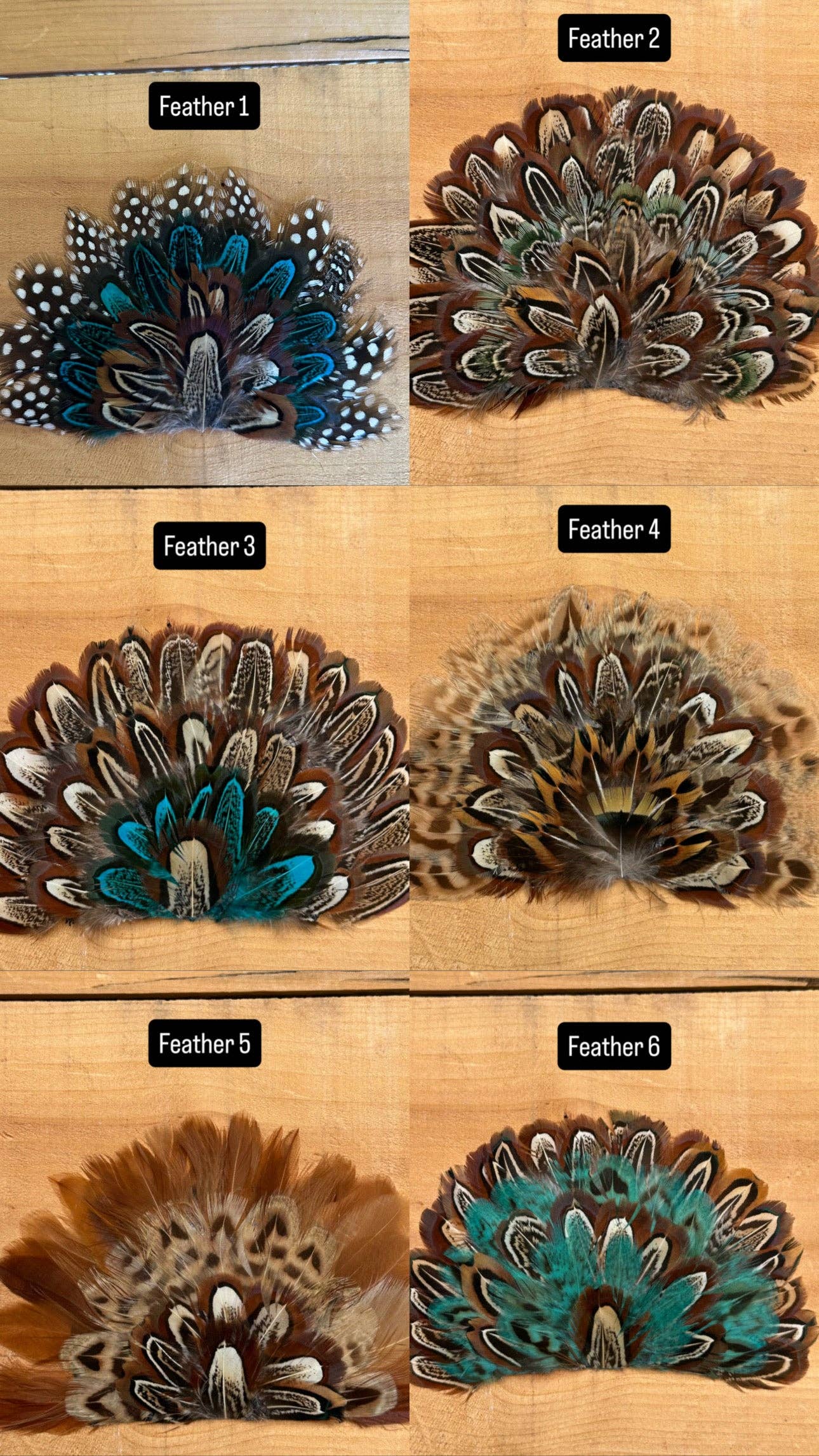 IRON ON FEATHER FANS FOR TRUCKER HATS AND COWBOY HATS: No Faux Turquoise / Feather 4