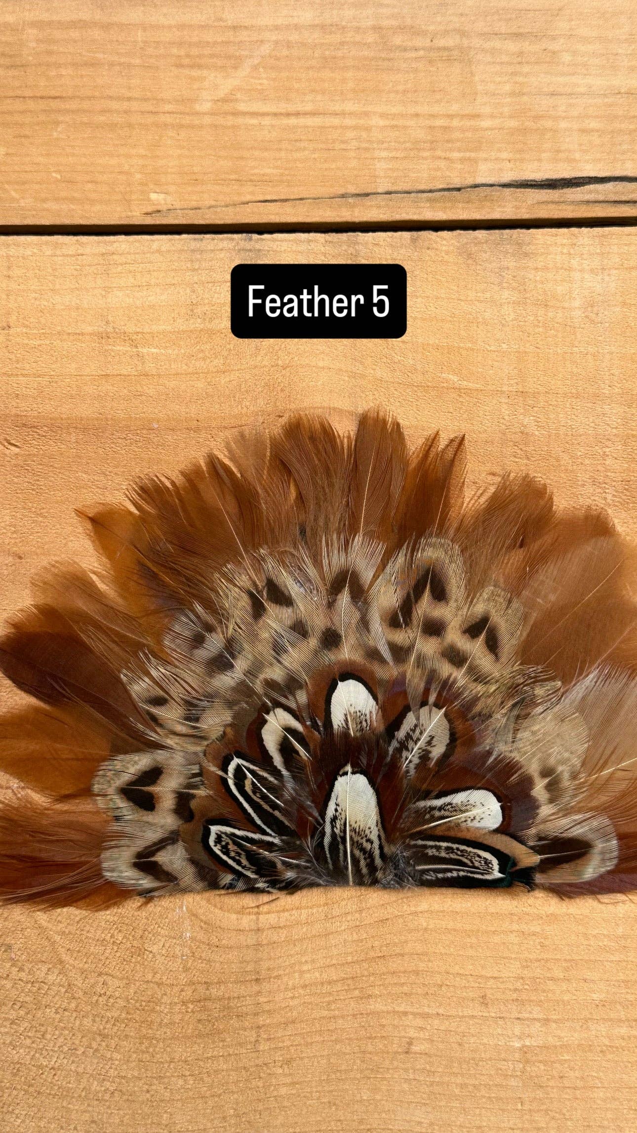 IRON ON FEATHER FANS FOR TRUCKER HATS AND COWBOY HATS: No Faux Turquoise / Feather 7