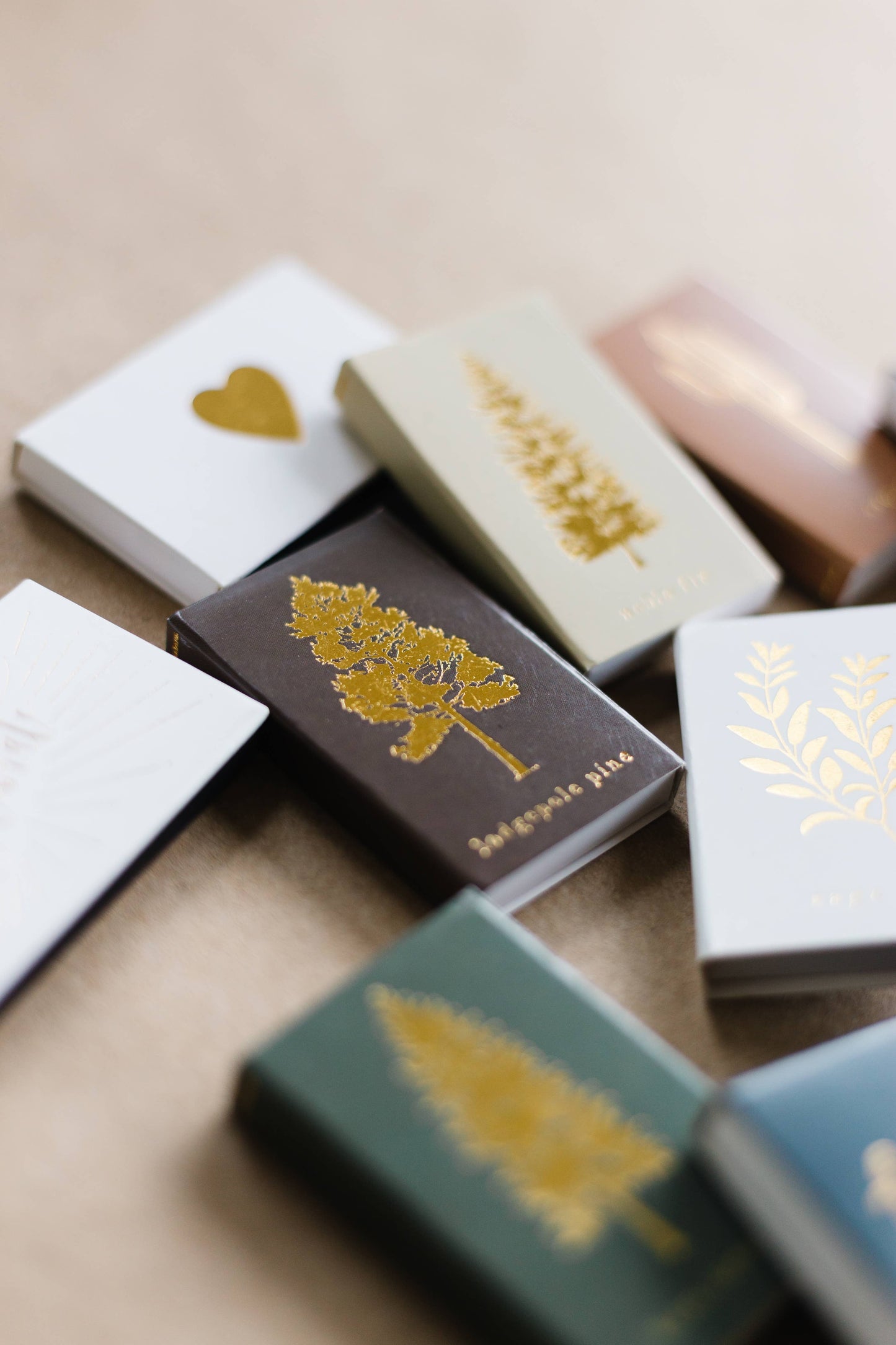 Saguaro Cactus Match Box