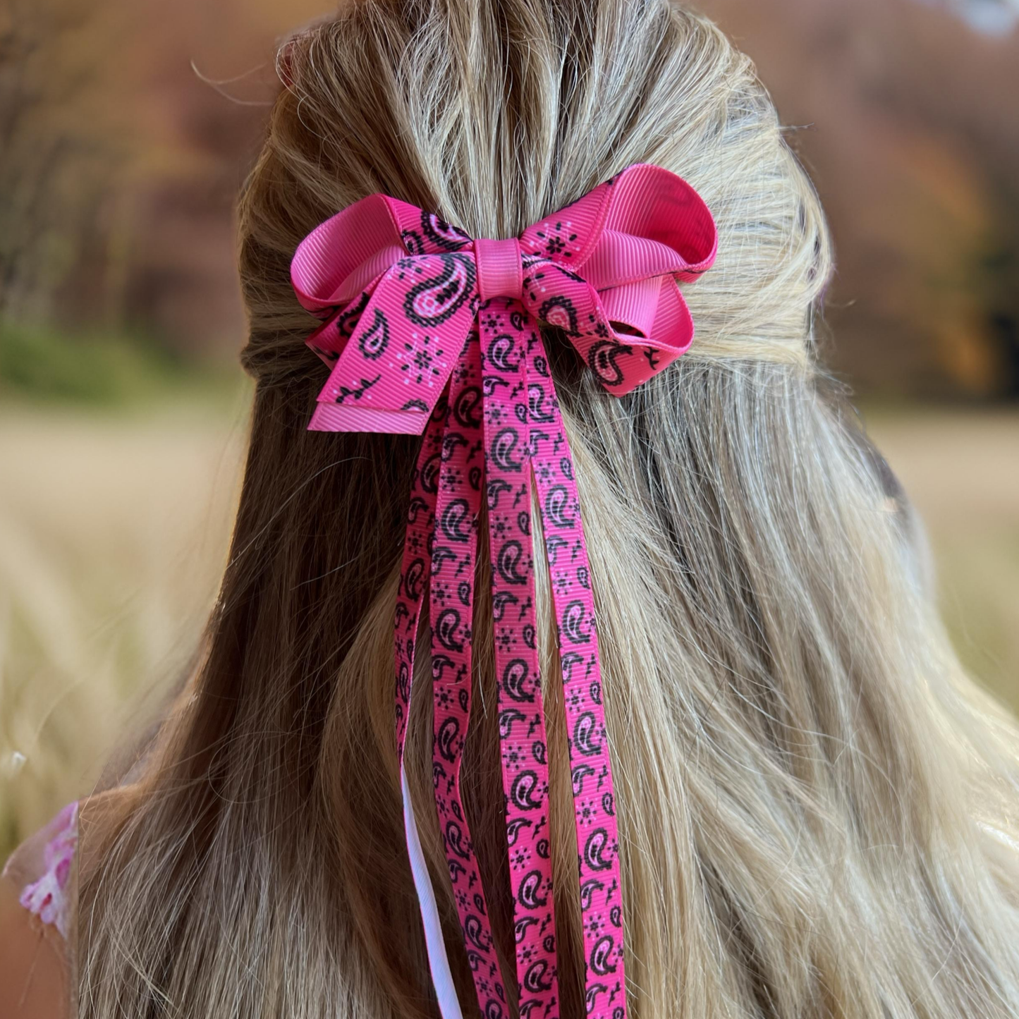 Western Paisley Bandana Print Hair Bow Clip