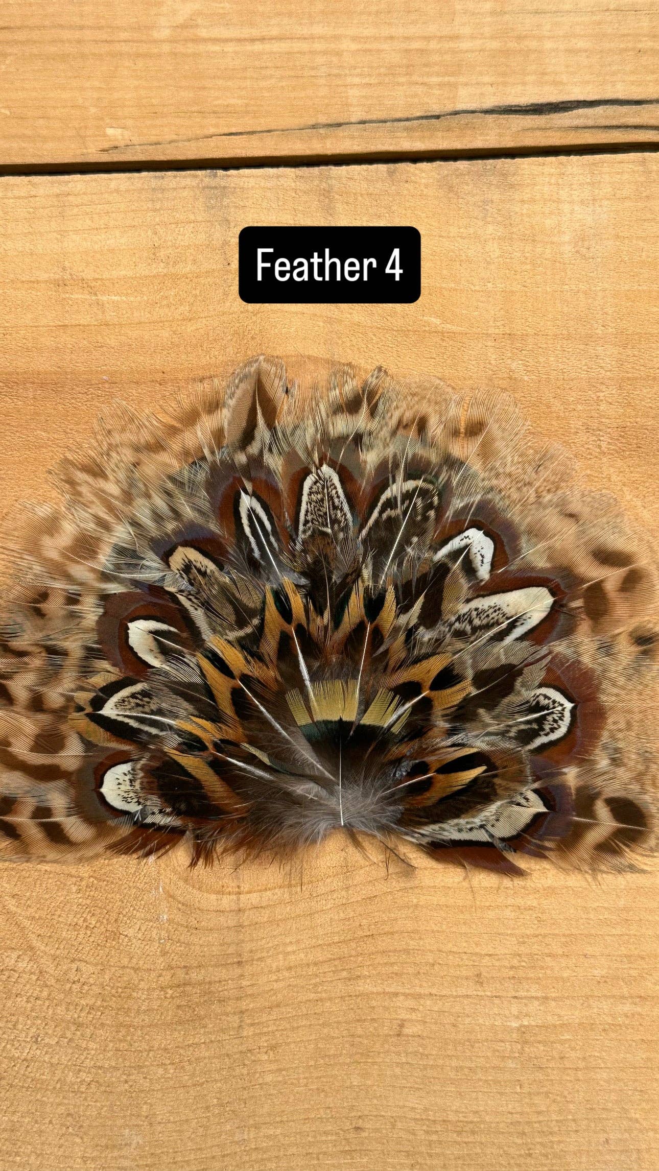 IRON ON FEATHER FANS FOR TRUCKER HATS AND COWBOY HATS: No Faux Turquoise / Feather 1