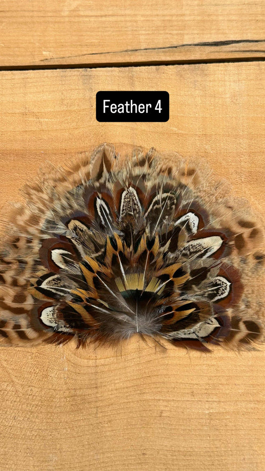 FEATHER FAN 4