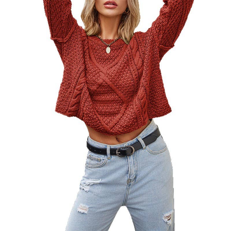 Chunky Cable Knit Pullover Sweater: Brown / Missy / XL