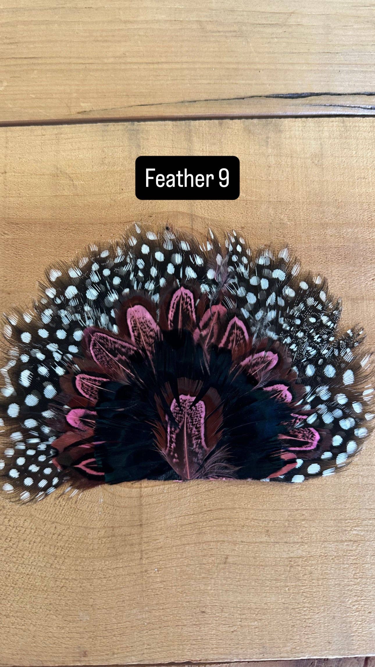IRON ON FEATHER FANS FOR TRUCKER HATS AND COWBOY HATS: No Faux Turquoise / Feather 1
